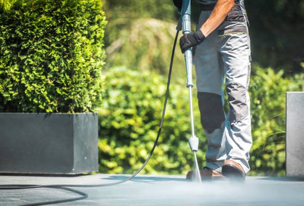Best Sign and Awning Cleaning  in Old Fig Garden, CA